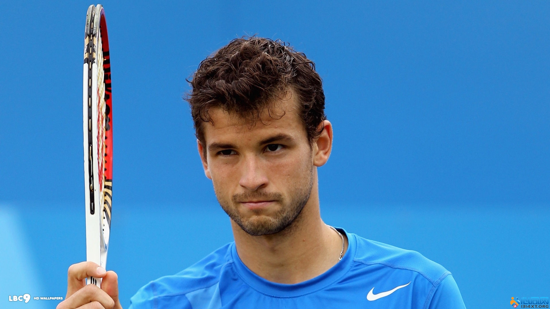 作为球迷 作为球迷