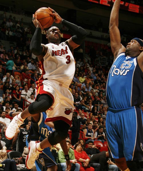 一只本应在 一只本应在