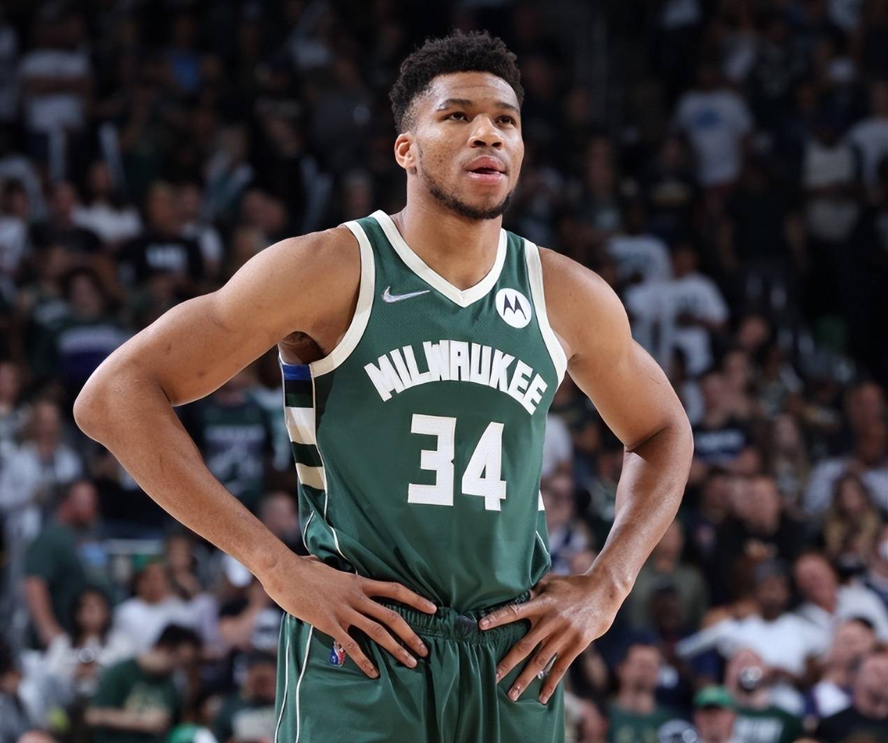 上的呈现 上的呈现