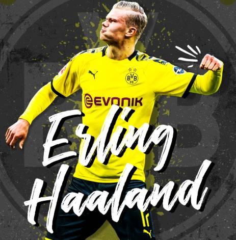 功能性保护 功能性保护